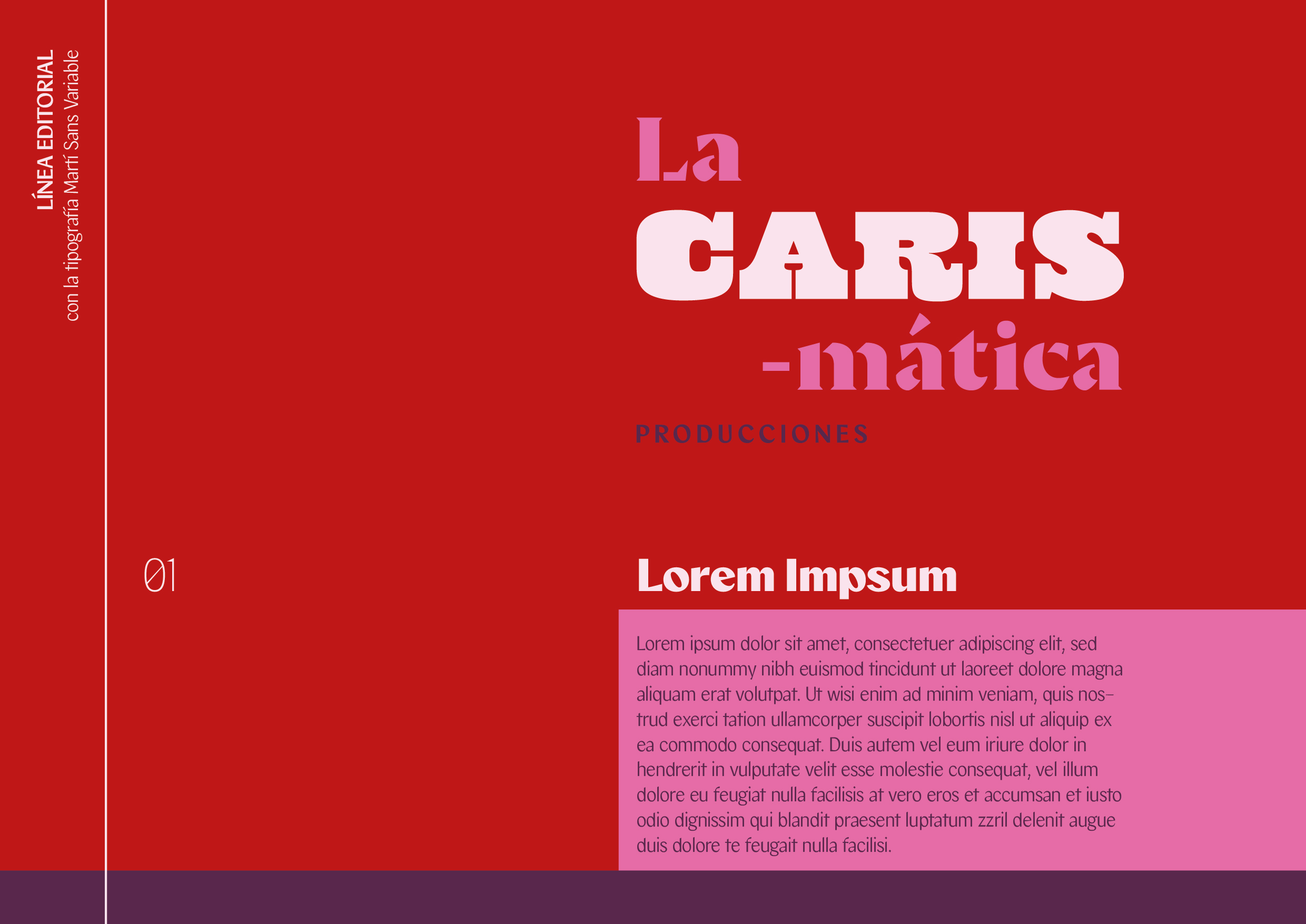 Identidad_LaCarismatica_Fisgon-14