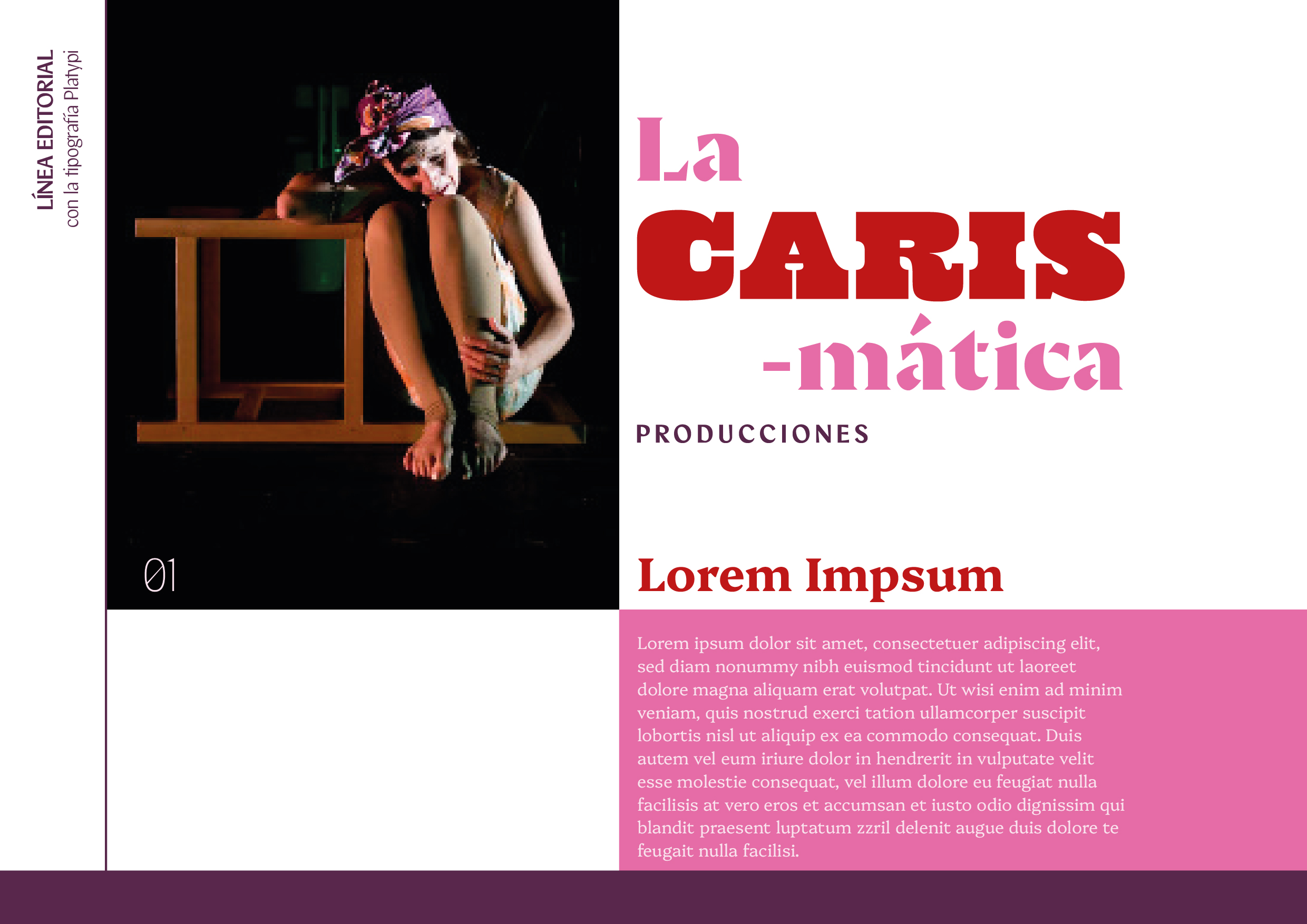 Identidad_LaCarismatica_Fisgon-15